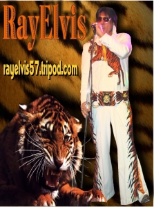 RayElvis Roaring Tiger